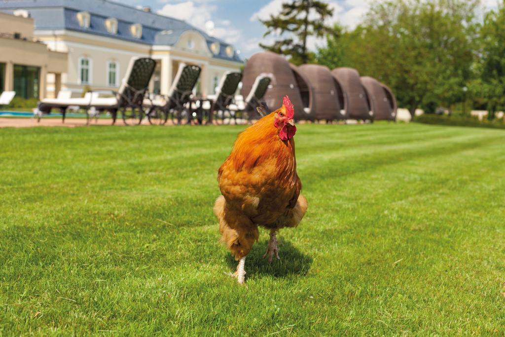 Amade Château Vrakun Exterior foto